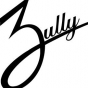 Logo empresa: zully