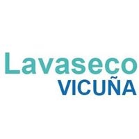 Logo empresa: lavaseco vicuña mackenna