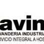 Logo empresa: lavinur