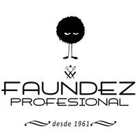 Logo empresa: instituto faúndez