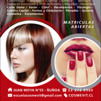 Logo empresa: escuela de estética cosmevit