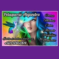 Logo empresa: peluquería alejandra