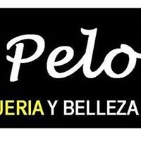 Logo empresa: de pelos, peluquería