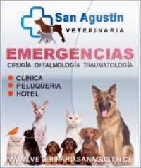 Logo empresa: clinica veterinaria san agustin