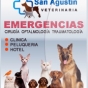 Logo empresa: clinica veterinaria san agustin