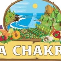 Logo empresa: la chakra organica