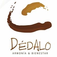 Logo empresa: centro dédalo