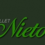 Logo empresa: academia de ballet sara nieto