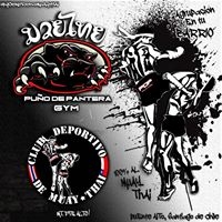 Logo empresa: puño de pantera muay thai boxing