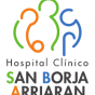 Logo empresa: hospital clinico san borja arriaran