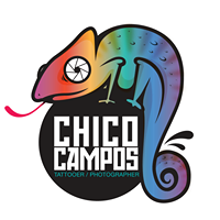 Logo empresa: chico campos tattoo