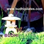 Logo empresa: budhi pilates