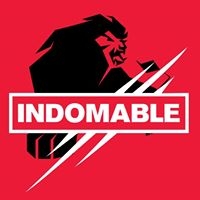 Logo empresa: indomable