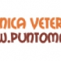Logo empresa: punto mascotas