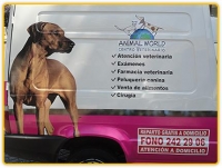 Logo empresa: animal world