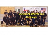 Logo empresa: kenpo karate y defensa pesonas